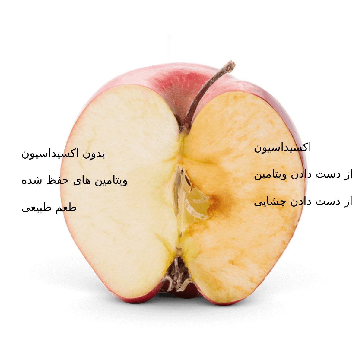 اسموتی ساز و مخلوط کن 5کاره دلیمانو DELIMANO